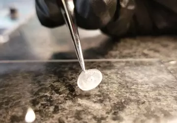 In Harvard entwickeltes 3D-gedrucktes Trommelfell ist ...