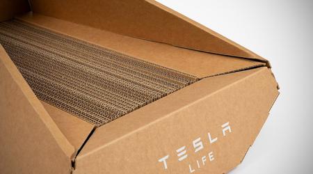 Unerwartet: Tesla hat ein Katzenbett im Stil des Elektro-Pickups Cybertruck herausgebracht