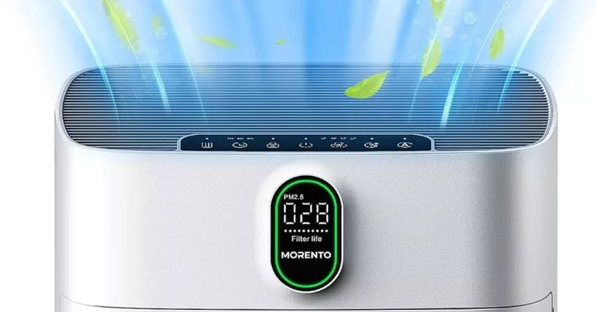 MORENTO HY4866 luftreiniger für wohnungen mit katzen