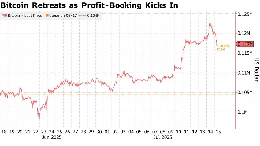 Bitcoin korrigierte auf 117.000 $ nach einem Rekordhoch von über 123.000 $