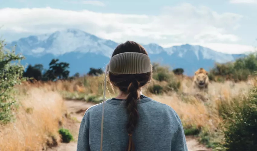 YouTube "Juno" für Apple Vision Pro unterstützt 360-Grad-Videoformat