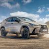 Lexus NX Overtrail schwarzes Dekor