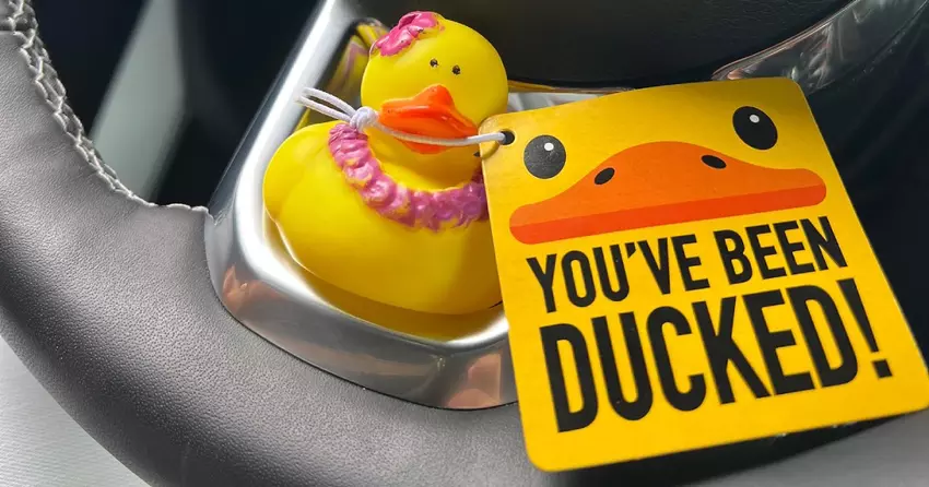 Hertz bietet an, einen Jeep Wrangler mit Gummi-Entchen im Inneren zu mieten.