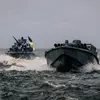 Vorschau auf Sea Baby Bild