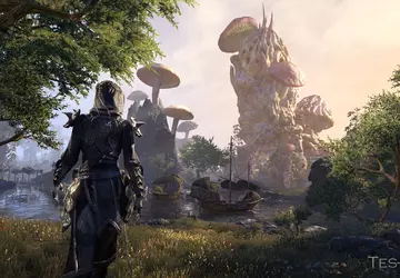 "Die Entwickler von The Elder Scrolls ...