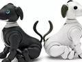 post_big/aibo-main.jpg