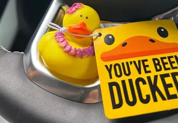 Hertz bietet an, einen Jeep Wrangler ...