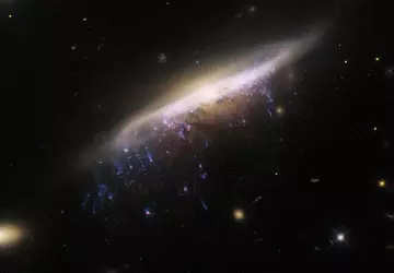 Hubble hat eine galaktische Qualle fotografiert, ...