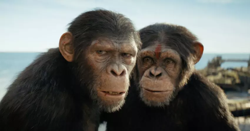 Kingdom of the Planet of the Apes hat am ersten Wochenende in den USA 56 Millionen Dollar eingespielt, das zweitbeste Ergebnis in der Geschichte der Reihe.