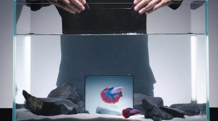 Vivo X Fold 5 faltbares Smartphone mit neuer Batterie funktioniert sogar bei -30°C