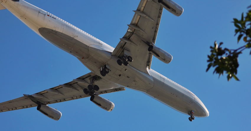 beste Kameras für Flugzeugbeobachtung