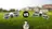 DJI Neo vs DJI Flip: Vergleich