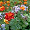 Xiaomi Redmi 10 Test: Der legendäre Budget-Hersteller, jetzt mit einer 50-Megapixel-Kamera-200 Xiaomi Redmi 10 Test: Der legendäre Budget-Hersteller, jetzt mit einer 50-Megapixel-Kamera-200