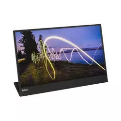 Lenovo ThinkVision M15