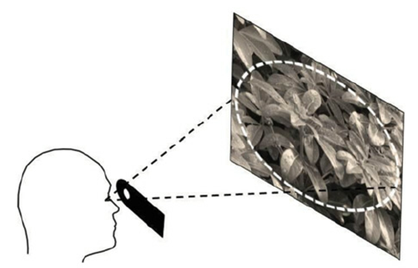 what is binocular pupil distance
