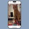 Video-Player-Miniaturansicht