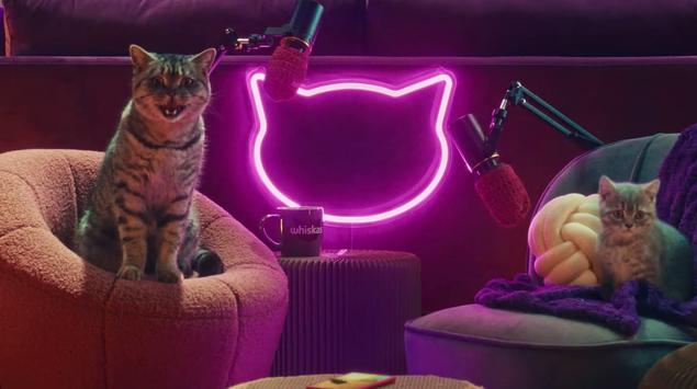 Whiskas hat den Purrcast-Podcast gestartet: Katzen ...