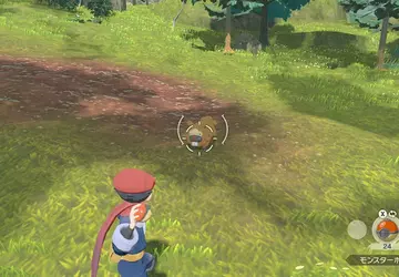 Nintendo hat ein System zum "Einfangen ...