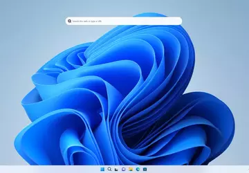 Etwas mehr als 20 % der ...