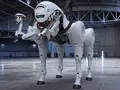 post_big/SN-3-Nova-Robotic-Dog-by-Amin-Akhshi_Concept-Design-3.jpg