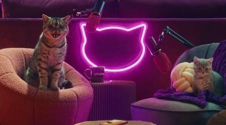 Whiskas hat den Purrcast-Podcast gestartet: Katzen sprechen (Video)