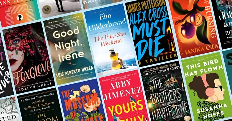 Hachette sagt Veröffentlichung von "Shy Girl" ...