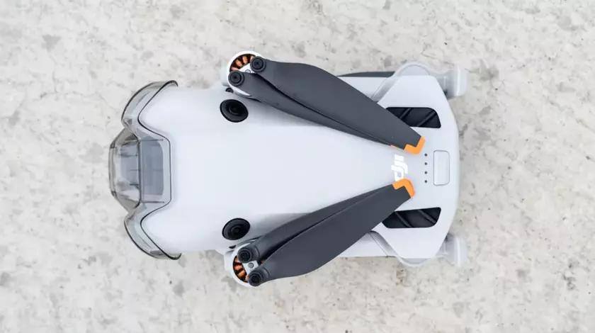 Mini 4 Pro vs. Pro Max