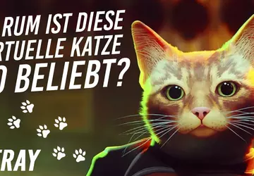 Wie konnte die Computerkatze Stray beliebter ...