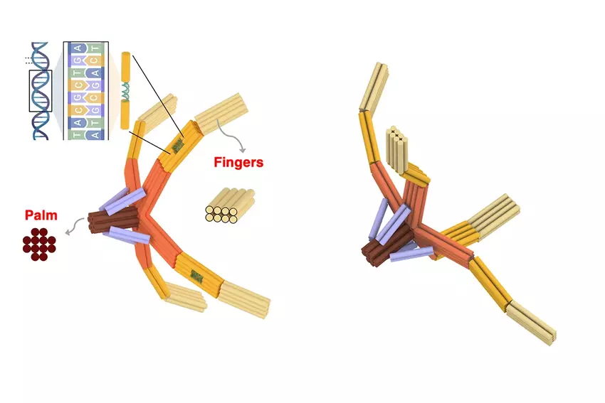Der NanoGripper-Arm und seine Komponenten