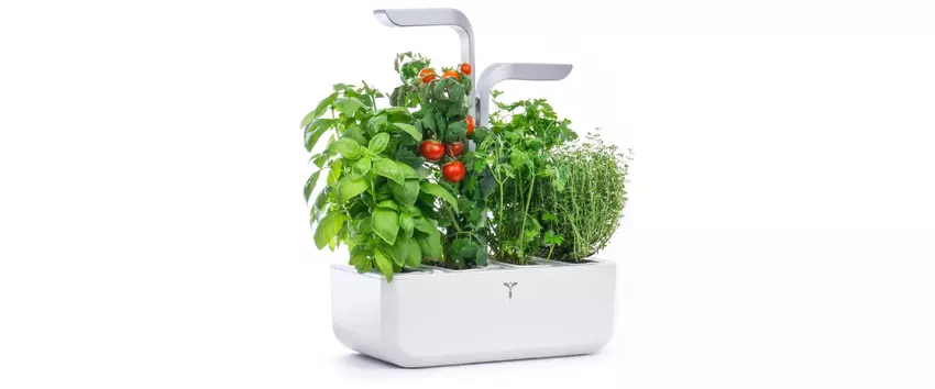 Véritable Smart Indoor Garten