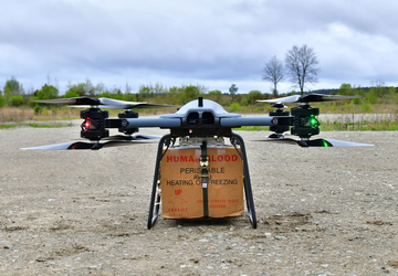 Die Idee der Streitkräfte der Ukraine: ...