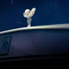 Beleuchtung des Rolls-Royce Cullinan Cosmos
