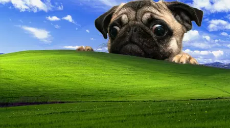 Windows XP bleibt das beliebteste Betriebssystem in einem Land