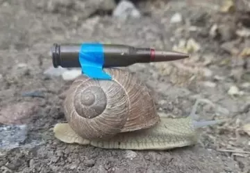 Deutschland bietet der Ukraine 20 Leopard ...