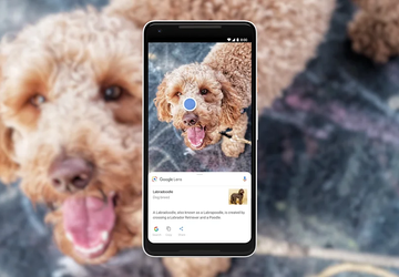 Google Lens erhält KI-basierte Antwortgenerierungsfunktion für ...