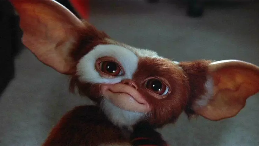 Gizmo aus "Gremlins" wird am 8. September in MultiVersus aufgenommen