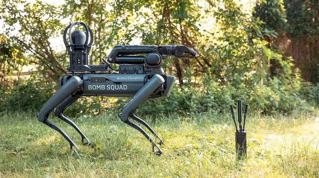 Roboterhunde statt Rekruten: Südkorea will Hyundai-Roboter ...