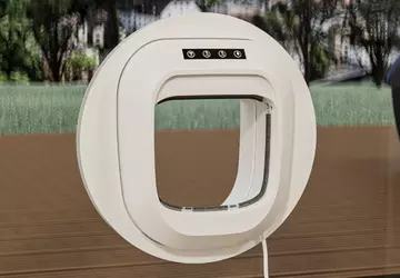 Flappie: eine Tür, die sich nicht ...