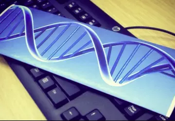 Eine DNA-Schreibmaschine verwandelt ganze Sätze in ...