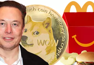 Elon Musk verspricht, vor laufender Kamera ...