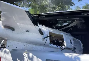 Eine Gerbera mit einem Transponder wurde ...