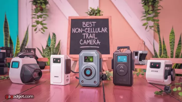 Beste Wildkamera Ohne Wlan