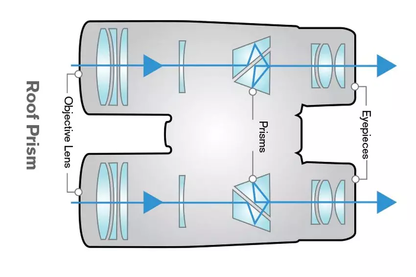 Roof prism binoculars