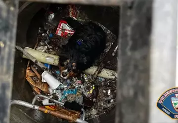 Apples AirTag half bei der Rettung ...