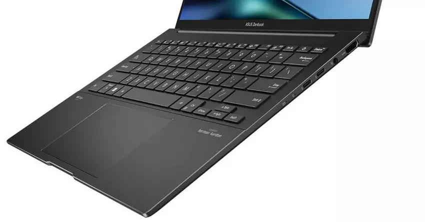 ASUS ZenBook 14 OLED Q415 Laptop für Workation