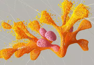 DeepMind hat einen KI-Algorithmus namens AlphaMissense ...