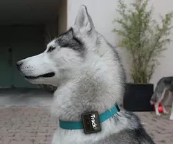 Tracki 2021 Modell Mini Echtzeit-GPS-Tracker