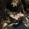 Vorschau auf Flint: Treasure of Oblivion Bild 5