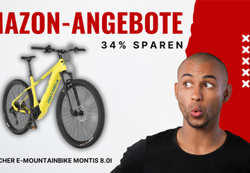 Fischer E-Mountainbike MONTIS 8.0i – Jetzt ...