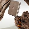 Motorola Edge 60 Pro Modell Vorschau